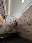 IMG 7804